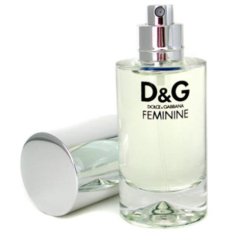 dolce gabbana france parfum|dolce gabbana perfume women feminine.